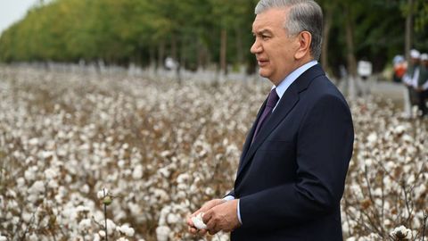 Prezident loyiha qiymati 3 mln dollarlik baliqchilik korxonasi faoliyati bilan tanishdi