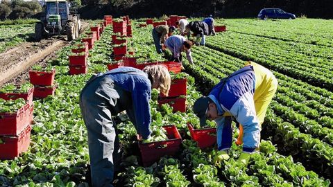Uzbek citizens to benefit from higher seasonal work quotas in UK