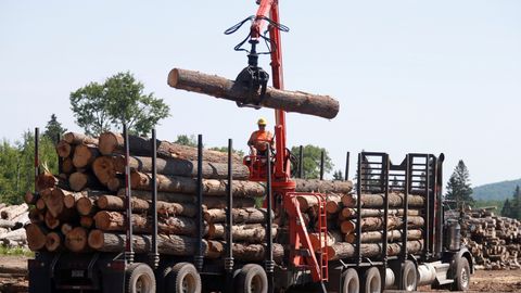 US lumber prices drop: A warning bell for the economy?