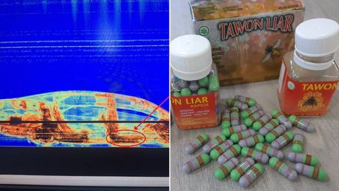 Xorijdan olib kirishga urinilgan “ozdiruvchi” dorilar tarkibidan taqiqlangan moddalar topildi