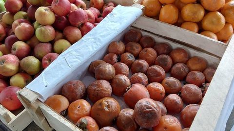 На рынках Узбекистана изъято из продажи более 130 тонн некачественных продуктов