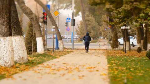Ўзбекистонда дам олиш кунлари шамол кучайиб, чанг-тўзон кузатилади