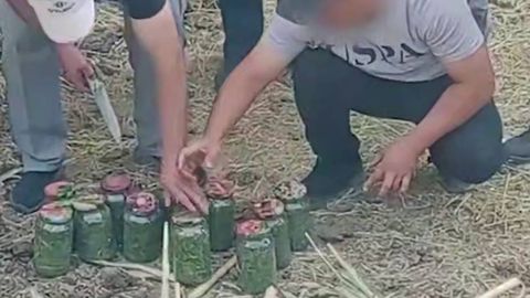Тошкент ва Фарғонада гиёҳвандлик воситаларининг ноқонуний айланмасига чек қўйилди