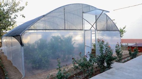Uzbekistan to cut social tax rate on greenhouses from 12% to 1% to boost exports