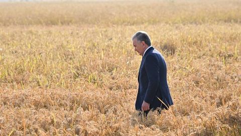 Prezident sholi dalasida bo‘lib, fermerlar va qishloq xo‘jaligi faxriylari bilan muloqot qildi