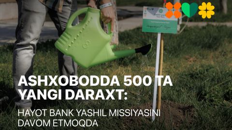 Пойтахтимизда дарахтлар 500 тага кўпайди: Hayot Bank Тошкентни ободонлаштирмоқда