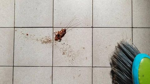 Жанубий Кореяда аёл суваракни ёқмоқчи бўлиб, ўз уйига ўт қўйди