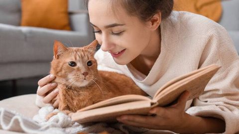 Miya va xotirani rivojlantirishga yordam beradigan 8 ta hobbi