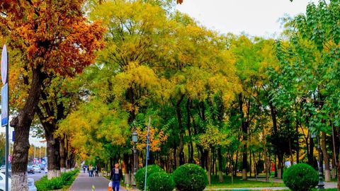 “Ўзгидромет” 30 октябрда қандай об-ҳаво бўлишини маълум қилди