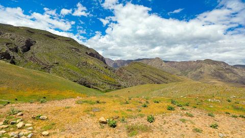 Сурхон давлат қўриқхонасининг 4 гектар ери қурилиш учун берилаётгани рад этилди