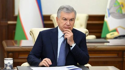 O‘zbekistonda 2026-yildan homiladorlik va mehnatga layoqatsizlik nafaqalari yangi tartibda toʻlanadi