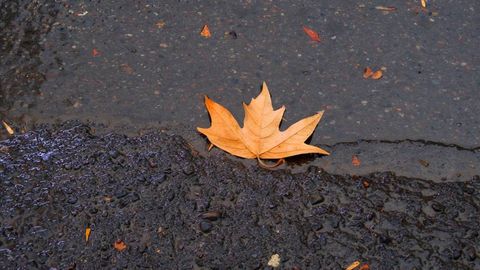 O‘zbekistonning ayrim hududlarida 31-oktyabrda yomg‘ir yog‘adi