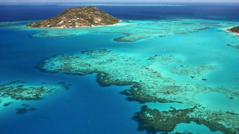 Orolda unutib qoldirilgan sayyoh o‘lik holda topildi