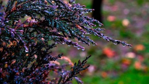 Ўзбекистонда ҳаво 0 даражагача совиб кетиши кутилмоқда