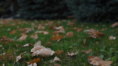 Ўзбекистонда дам олиш кунлари ҳарорат қанчага пасайиши маълум қилинди