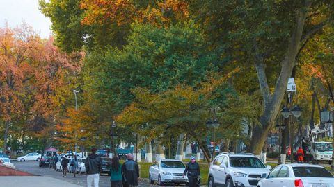 Ўзбекистонда 1 ноябрдан нималар ўзгаради?