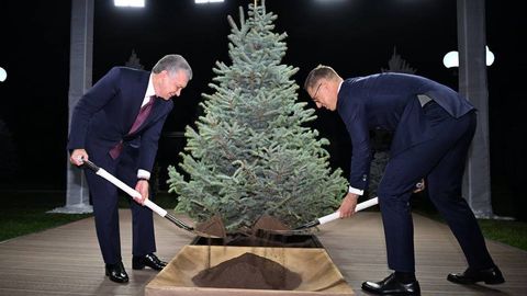 Шавкат Мирзиёев и Александр Стубб вместе посадили дерево