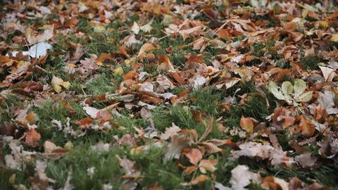 “O‘zgidromet”  2-noyabrda qanday ob-havo bo‘lishini ma’lum qildi