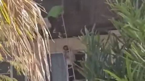 Сочидаги ёнғинда ўзбекистонлик йигит она-болани қутқариб қолди