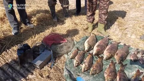 Сирдарёда ноқонуний балиқ ови ортидан табиатга 500 млн сўмдан ортиқ зарар етказилди