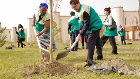 Uzbekistan plants 80,000 trees in Green Garden project celebrating UNESCO’s 80th anniversary