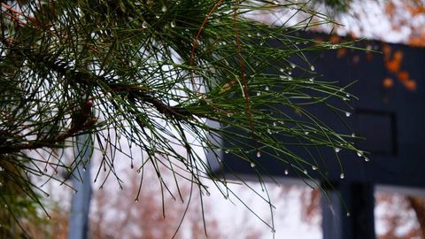 Hafta boshida O‘zbekistonga sovuq havo kirib kelishi boshlanadi 