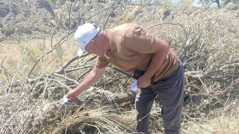 Buxoroda daraxt kesgan fuqaro tabiatga qariyb 190 mln so‘m zarar yetkazdi