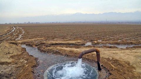 Uzbekistan to subsidize 50% of irrigation electricity costs for food crops