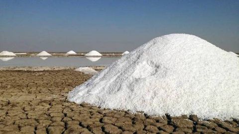 Uzbekistan to attract $200mn investment for salt processing zone in Karakalpakstan