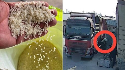 Soxta tranzit operatsiyasi: Oʻzbekistondan 50 tonna guruchning noqonuniy olib chiqilishi oldi olindi