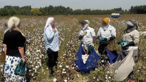 Андижонда теримчи аёллар бир ойдан буён пахта пулини ололмаяпти. Кластернинг фермерлардан миллиардлаб қарзи борлиги айтилмоқда