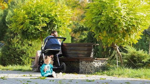 Ўзбекистонда 2025 йилнинг октябри қурғоқчил бўлди