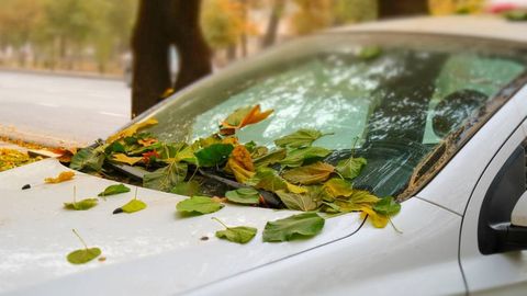 Тошкент ва Андижон шаҳарларида ҳаво сифати ёмонлашди