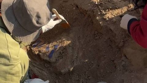 Toshkent viloyatida X–XI asrlarga oid devoriy rasmlar topildi