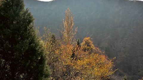 Dam olish kunlari O‘zbekistonda harorat issiqroq bo‘ladi