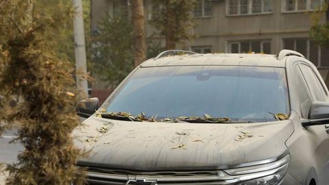 Toshkent shahrida havo ifloslanish darajasi meʼyordan oshgani maʼlum qilindi