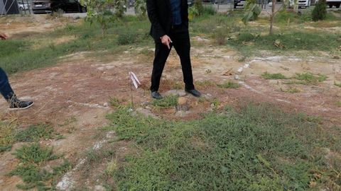 Тошкентда яна дарахткушлик: 200 дан ортиқ кўчатлар йўқ қилинди