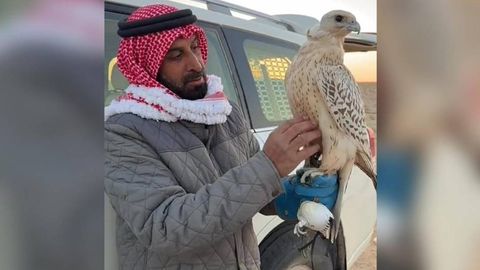 Афғонистонда араб овчилари камёб қушларни овламоқда