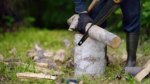 Kelasi yil 1-mart sanasidan tabiatga zarar yetkazganlarga kompensatsiya boʻyicha imtiyozlar bekor qilinadi