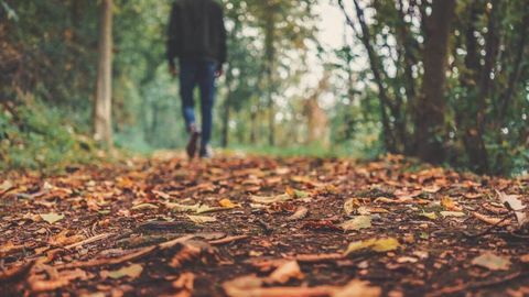 Kuzda qo‘zg‘aladigan kasalliklardan qanday saqlanish mumkin?