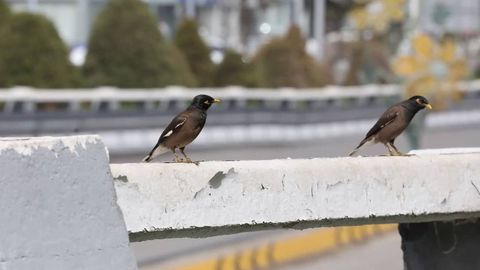 O‘zbekistonda dekabr normaga nisbatan biroz issiqroq bo‘lishi kutilmoqda