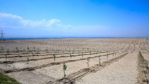 O‘zbekistonda qishloq xo‘jaligi sug‘urtasi jamg‘armasi tashkil etildi