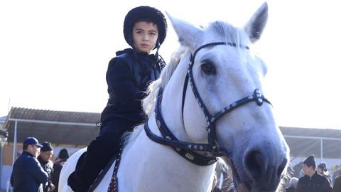 70 ming dollarga sotilmagan ot, 5 ming dollar baholangan qoʻy: Namangandagi  zotdor hayvonlar koʻrgazmasidan reportaj