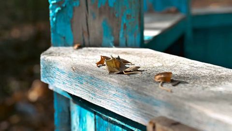 Ўзбекистонда ҳафта давомида қуруқ об-ҳаво сақланиб туради