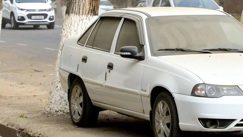 Toshkentda ekologik vaziyatni yaxshilash bo‘yicha maxsus komissiya tuzildi