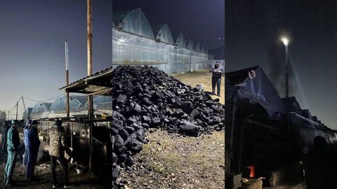 Тошкент шаҳри ва вилоятида ярим тунда иссиқхоналарга рейд уюштирилди