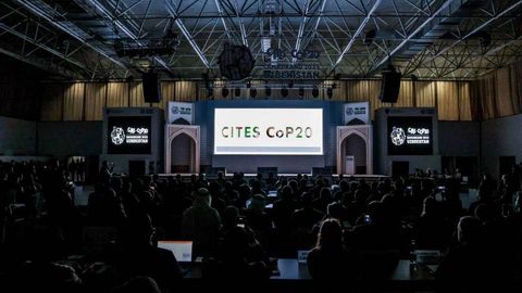 Uzbekistan hosts CITES CoP20 as global delegates convene in Samarkand to strengthen wildlife protection