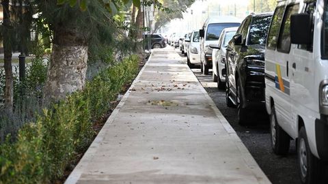 Тошкентнинг ҳар бир туманида “сояли сайр кўча”лари ташкил қилинади