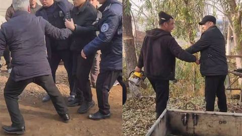 Ekologiya inspektoriga kuch ishlatgan hokim o‘rinbosari ishdan olindi