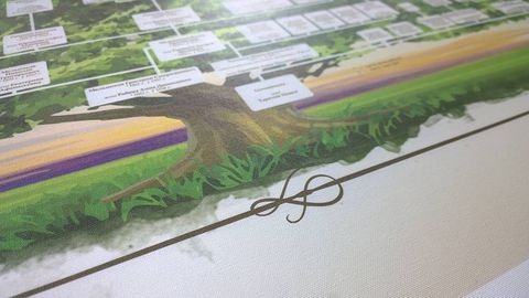 “Шажара” ахборот тизими 2026 йил 1 сентябрдан жорий этилади